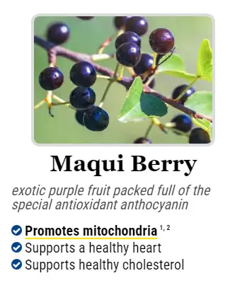 Mitolyn Ingredients
