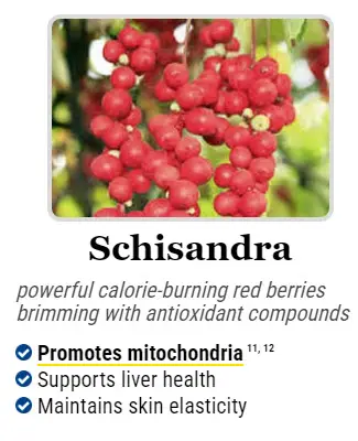 mitolyn Ingredients: Schisandra
